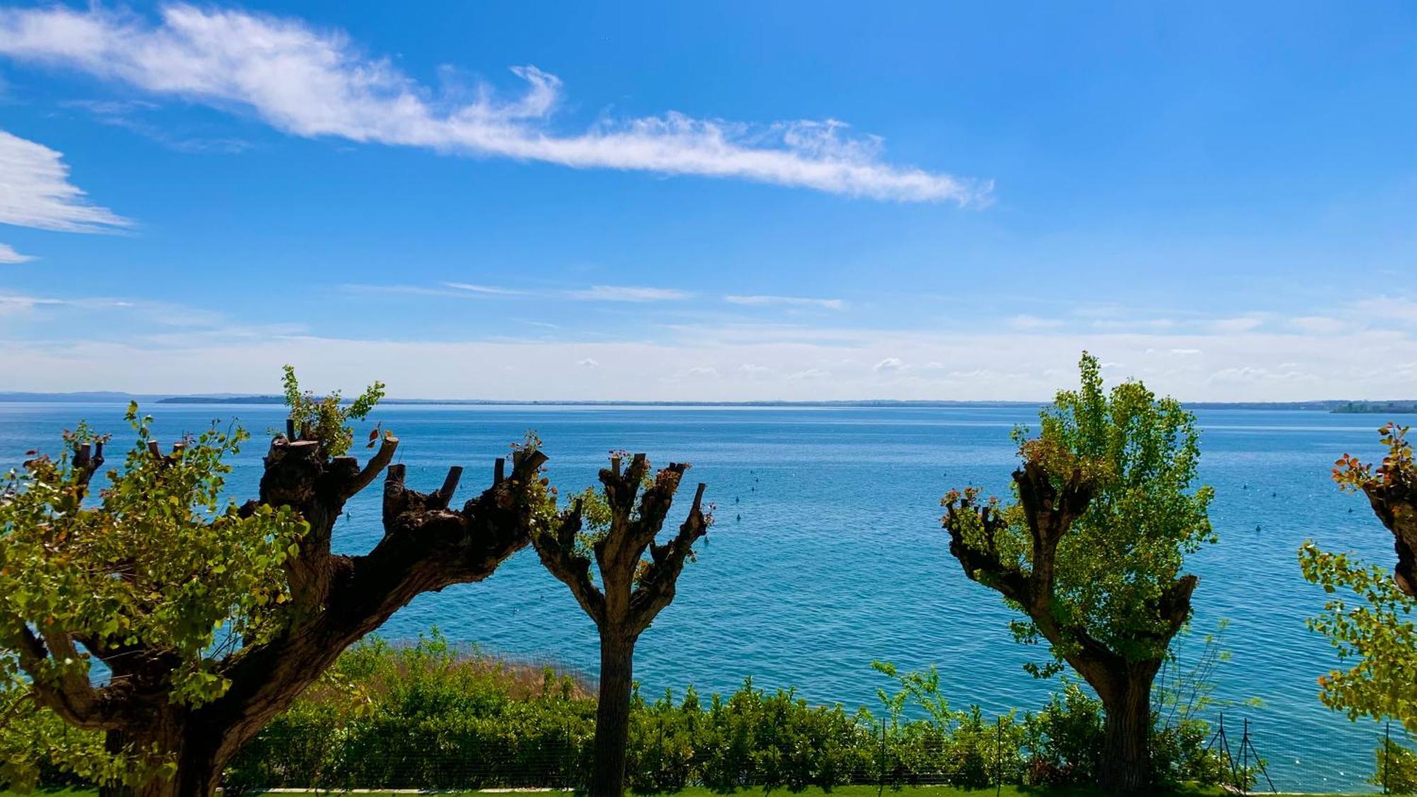 Campeggio Della Colombaia Padenghe sul Garda Dış mekan fotoğraf