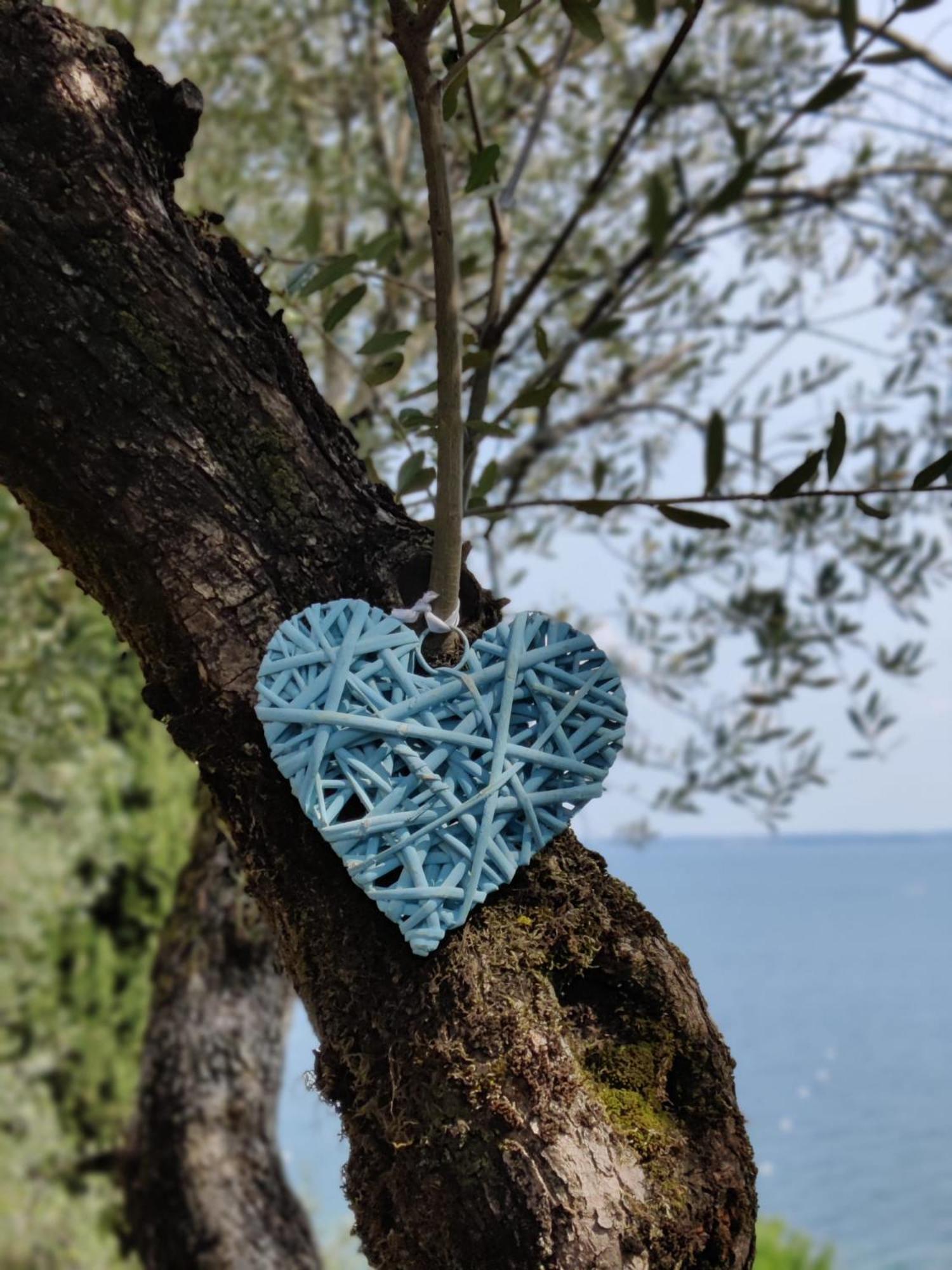 Campeggio Della Colombaia Padenghe sul Garda Dış mekan fotoğraf